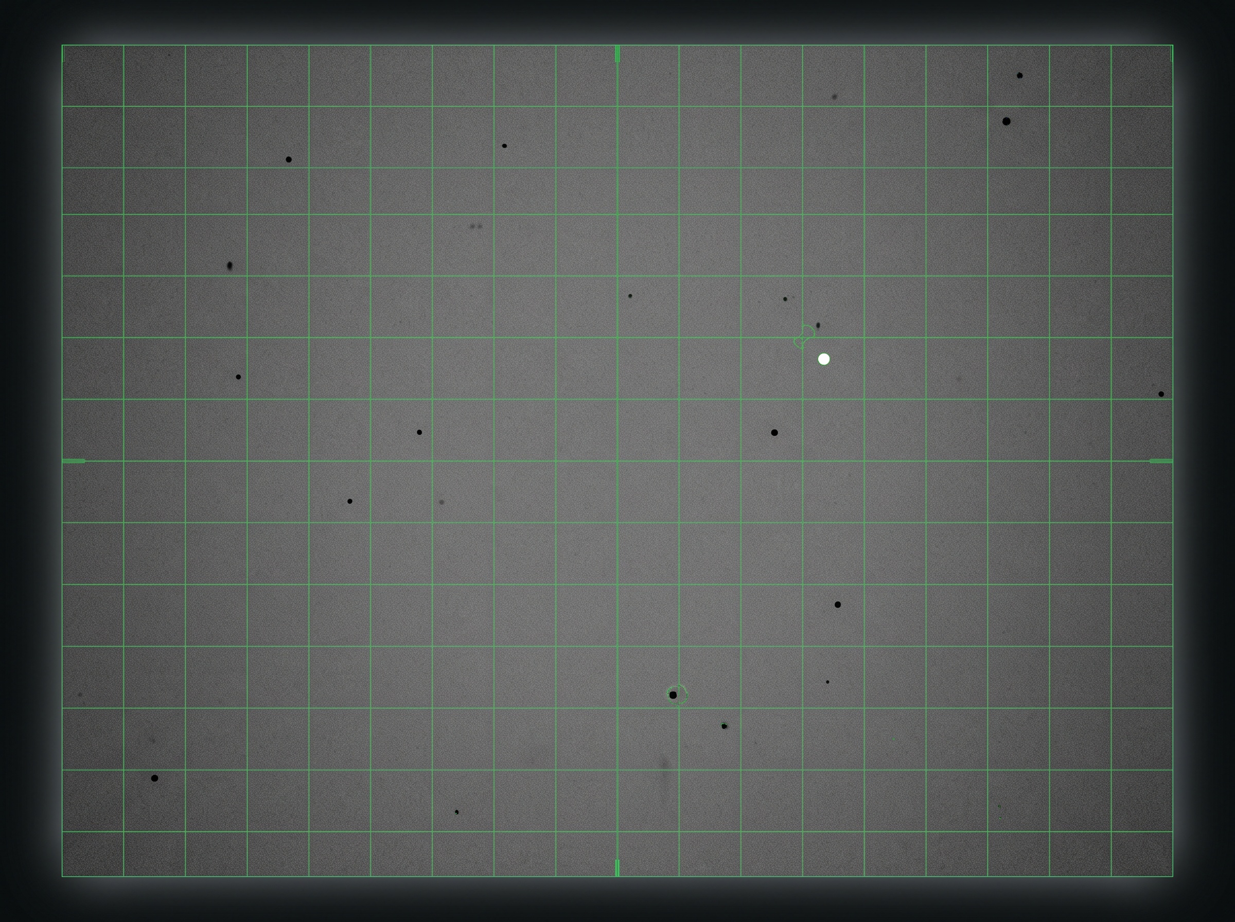 A uniform grey flat-field test image showing isolated black dead pixels and a bright stuck pixel